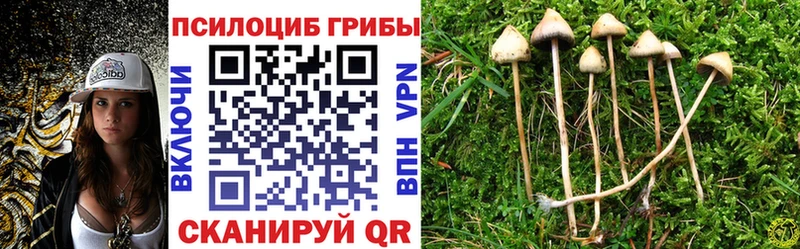 купить наркотик  Бобров  Галлюциногенные грибы Psilocybine cubensis 